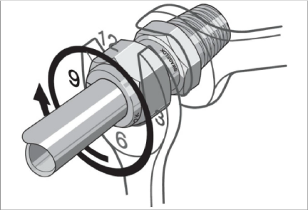 image7.png