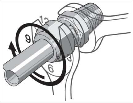 image7.png