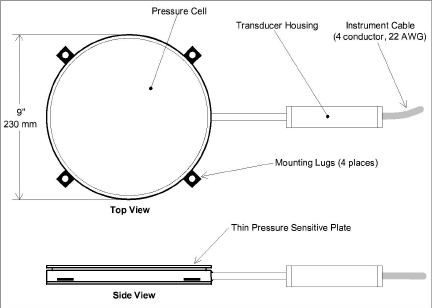 image6.png